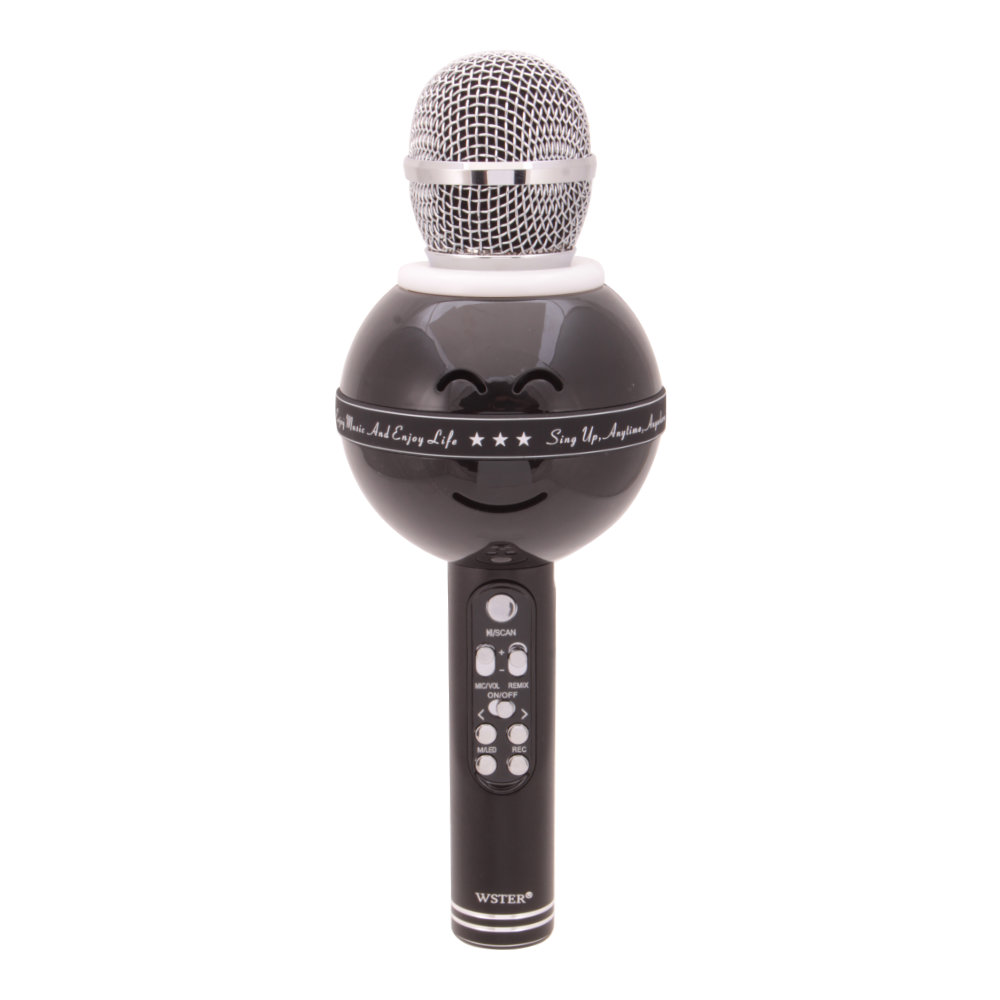 Стереоколонка Bluetooth WS-668 USB, Micro SD, FM, AUX с микрофоном, черная